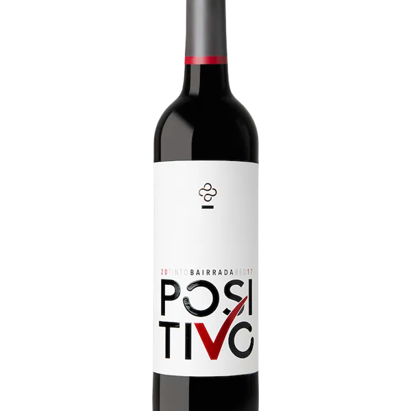Vinho Positivo Tinto